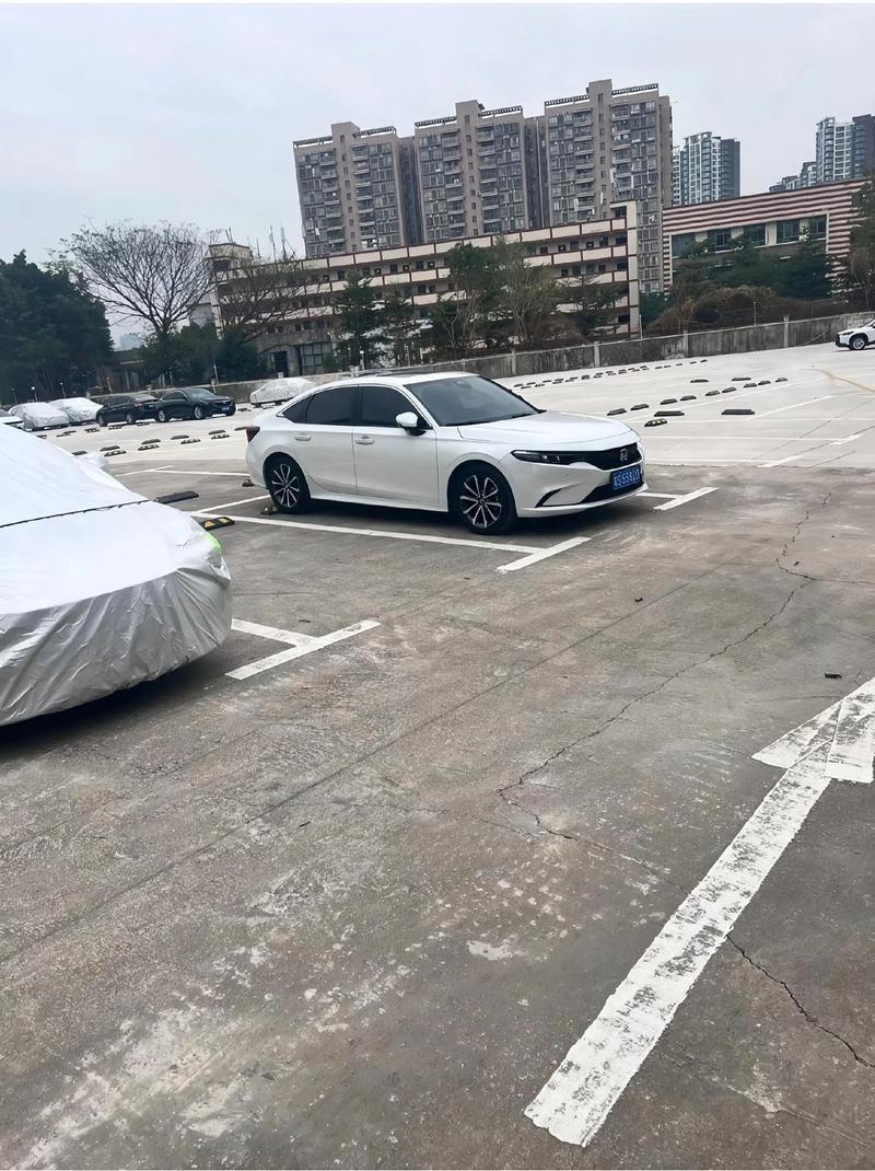 停车场里的社交温度 一次路人对话的启示